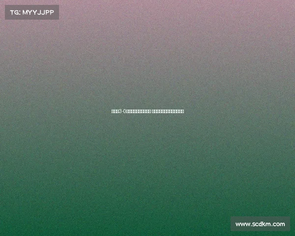 阿森纳3-0击败毕包夺酋长杯冠军 哲凯赖什处子球萨卡传射建功