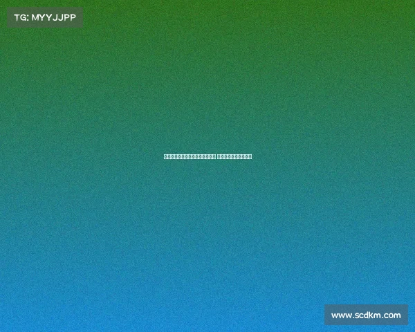 谢什科与纽卡就个人条款达成一致 以斯基拉转会接近完成