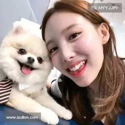 莫弛实
